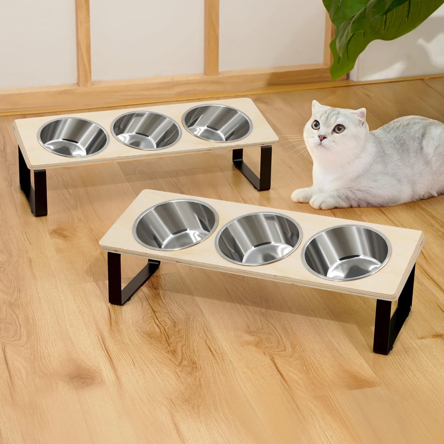 Petssify Tilted Elevated Cat Bowls – 15° Anti-Vomiting Stand with 3 Bowls