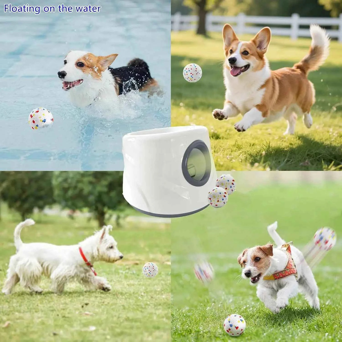 Automatic Dog Ball Launcher | Your Dog's New Fetching Best Friend