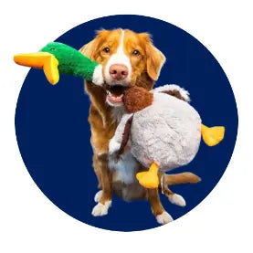 Toys - Petssify -