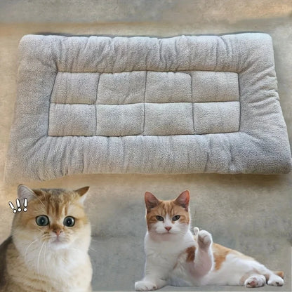 Petssify Large Plush Sofa Dog Bed – Thickened Super Soft Mat for All Sizes