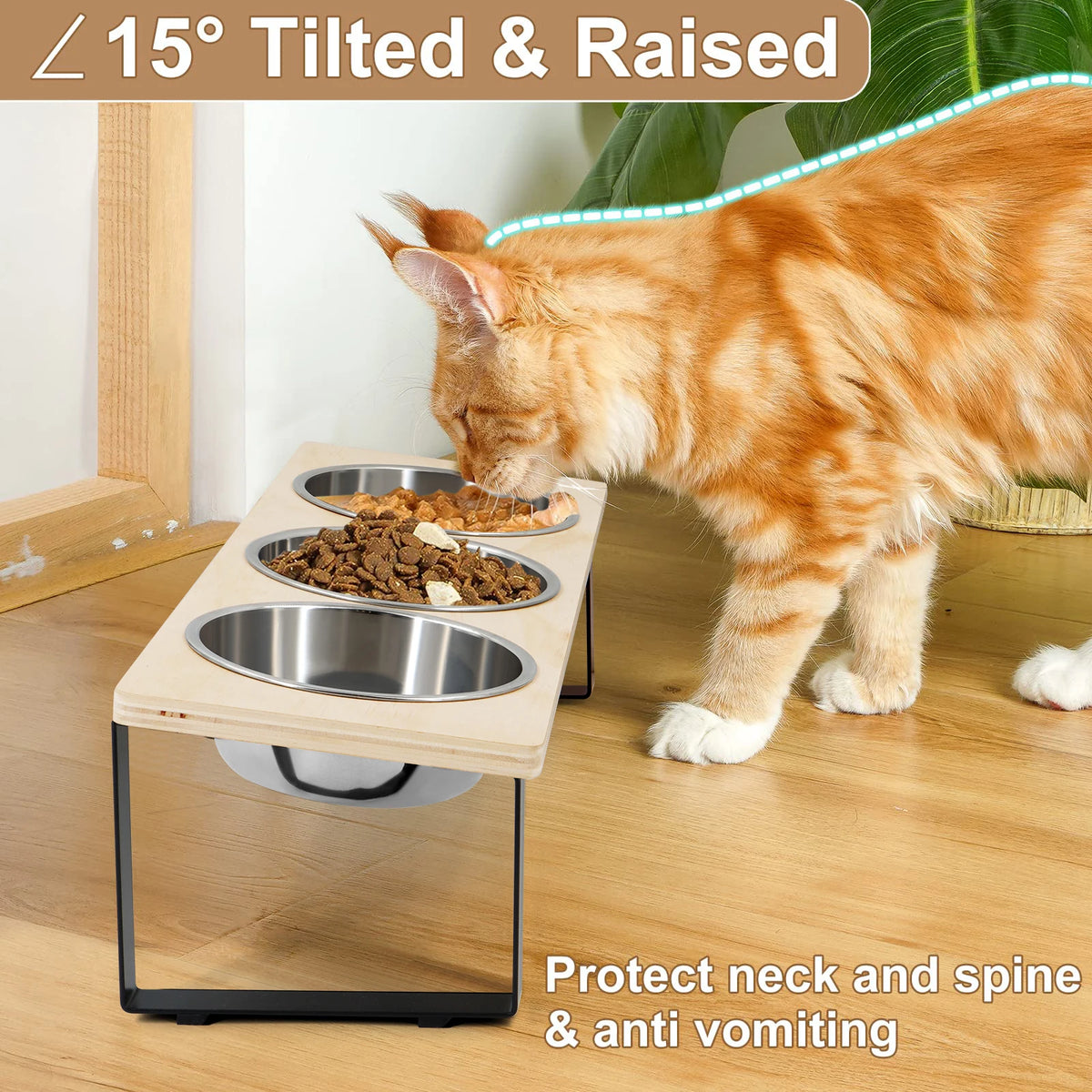 Petssify Tilted Elevated Cat Bowls – 15° Anti-Vomiting Stand with 3 Bowls