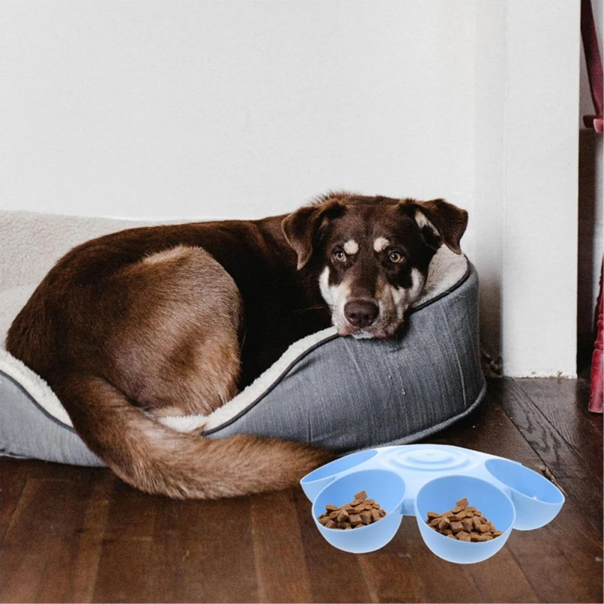 Petssify Flower-Shaped Multi-Compartment Pet Bowl – 6-Section Feeder