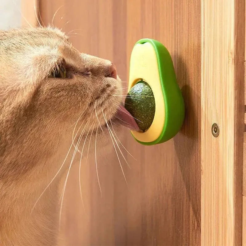 Natural Catnip Wall-Mounted Ball Toy for Cats – Teeth Cleaning & Interactive Treat Toy