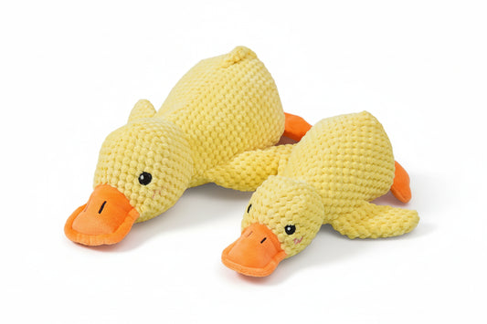 Squeaky Plush Duck Dog Toy | Bite-Resistant | Teeth Grinding | For Small & Large Dogs