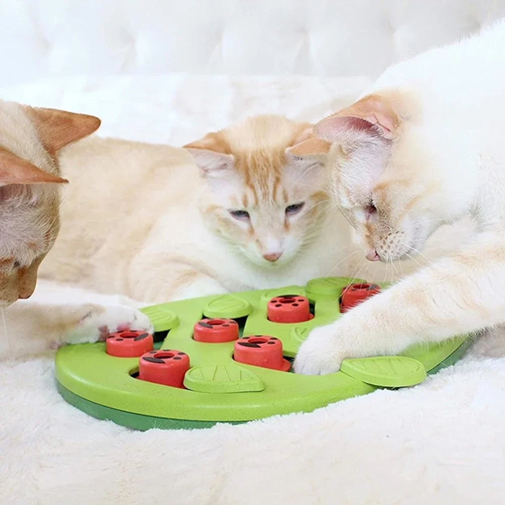 Petssify Interactive Cat Treat Puzzle – 14-Compartment Slow Feeder Board