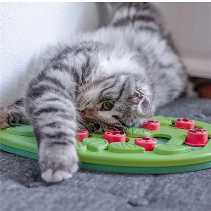 Petssify Interactive Cat Treat Puzzle – 14-Compartment Slow Feeder Board