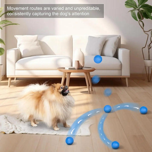 Auto-Rolling Electric Pet Ball | USB Charging | Interactive Toy for Cats & Dogs | Indoor Play