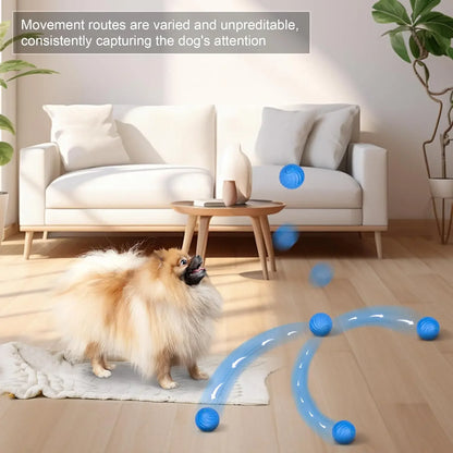 Auto-Rolling Electric Pet Ball | USB Charging | Interactive Toy for Cats & Dogs | Indoor Play