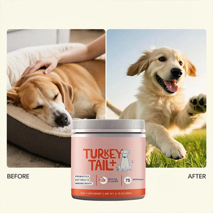 Petssify Dog Probiotic Soft Granules – Gut Health & Digestive Support Supplement