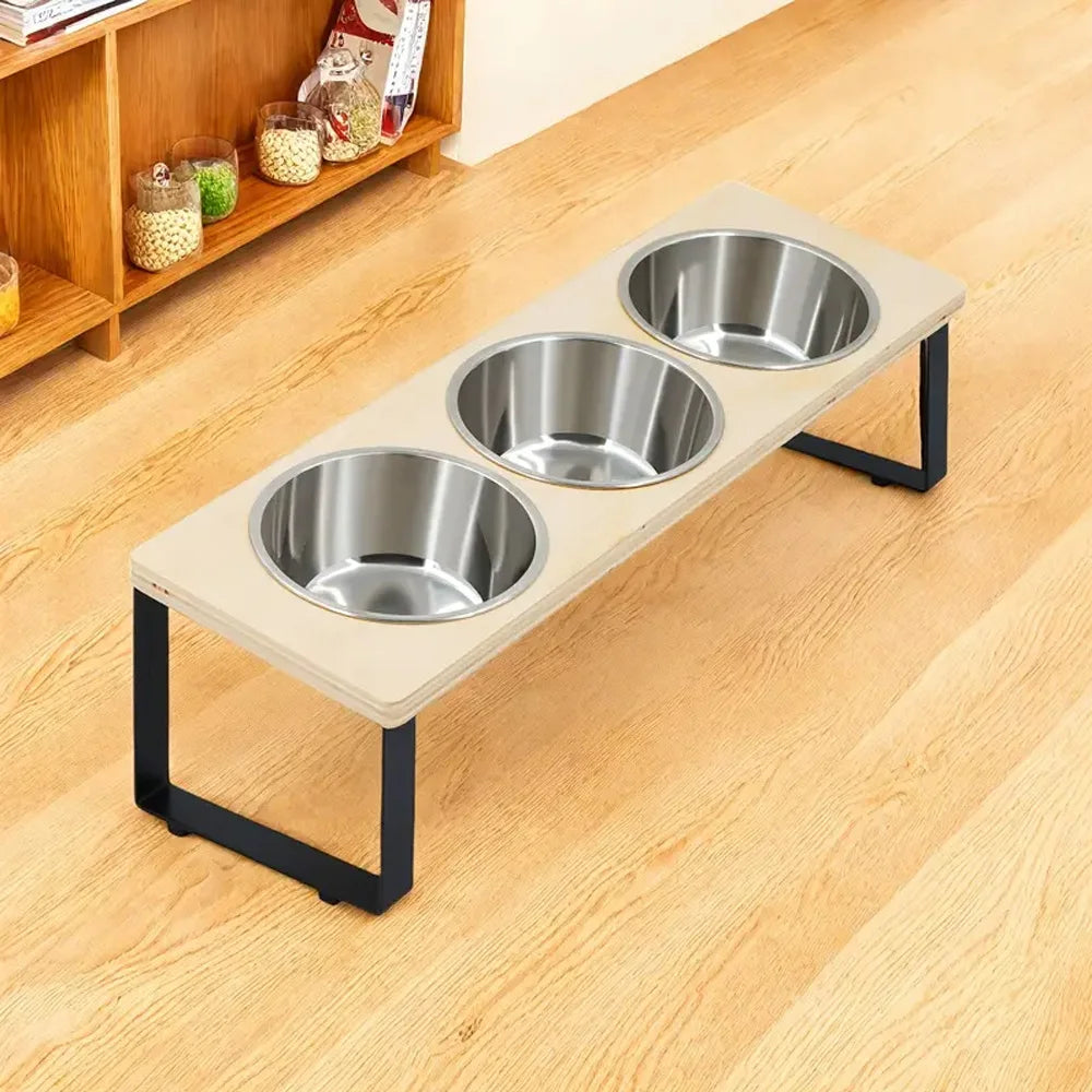 Petssify Tilted Elevated Cat Bowls – 15° Anti-Vomiting Stand with 3 Bowls