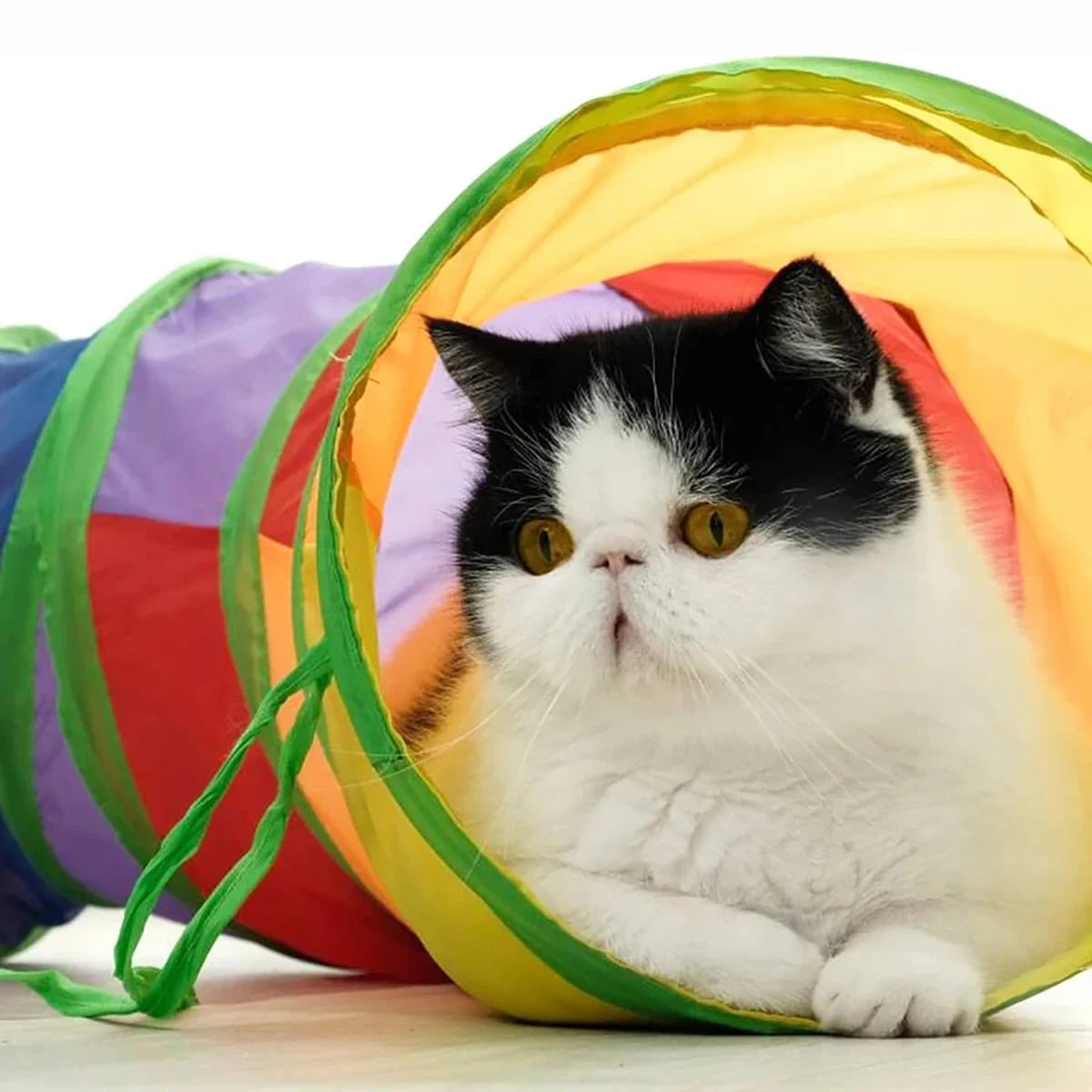 Petssify Foldable Cat Tunnel Tube – Interactive Crinkle Play Tunnel for Cats & Kittens