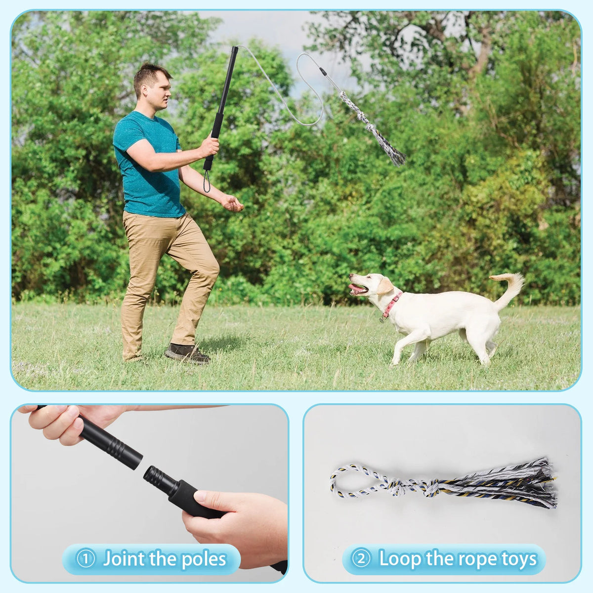 Petssify Flirt Pole — Durable Interactive Dog Exercise Toy for Small & Medium Dogs