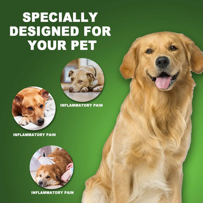 Petssify Cranberry Bladder Health Drops – Urinary Tract Support for Dogs & Cats