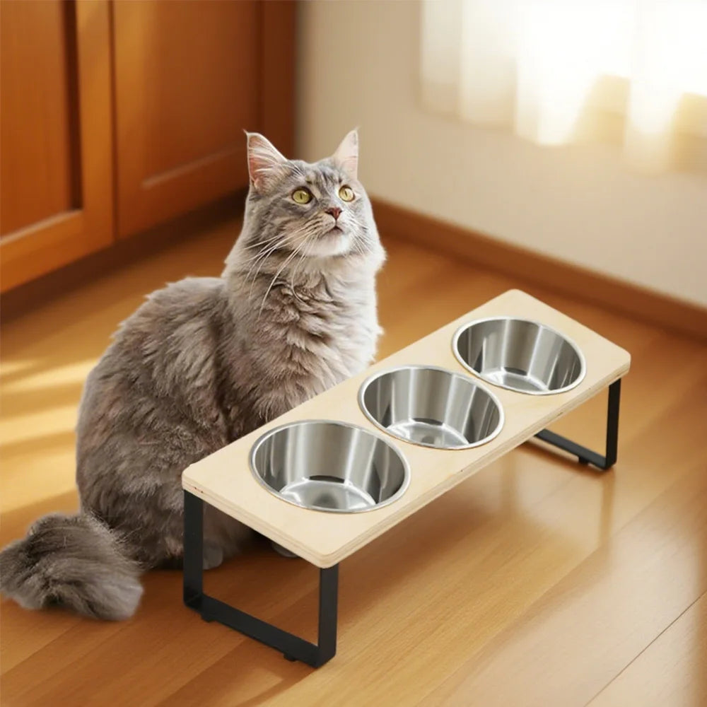 Petssify Tilted Elevated Cat Bowls – 15° Anti-Vomiting Stand with 3 Bowls