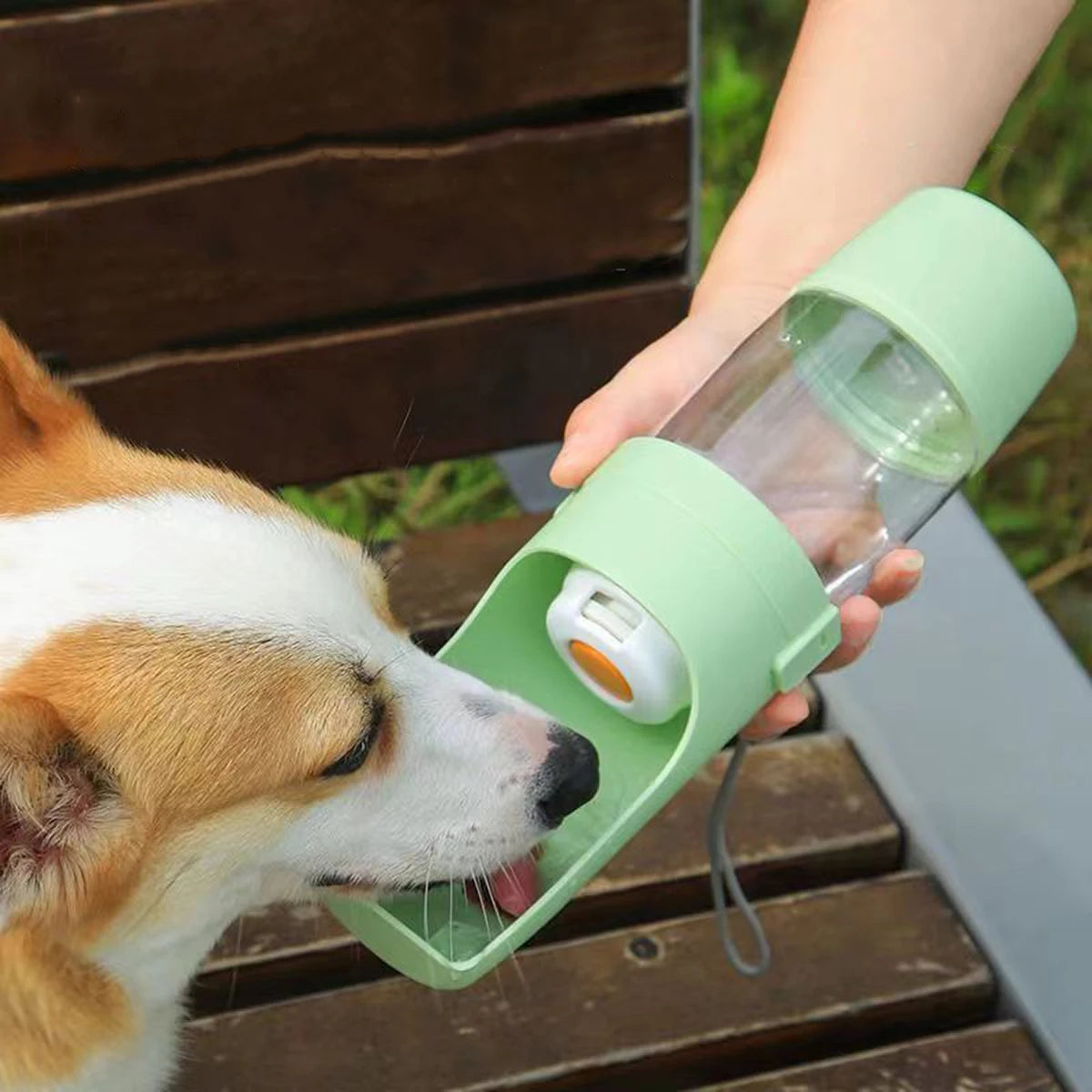 Petssify Portable Dog Water Bottle with Storage – 2-in-1 Travel Feeder