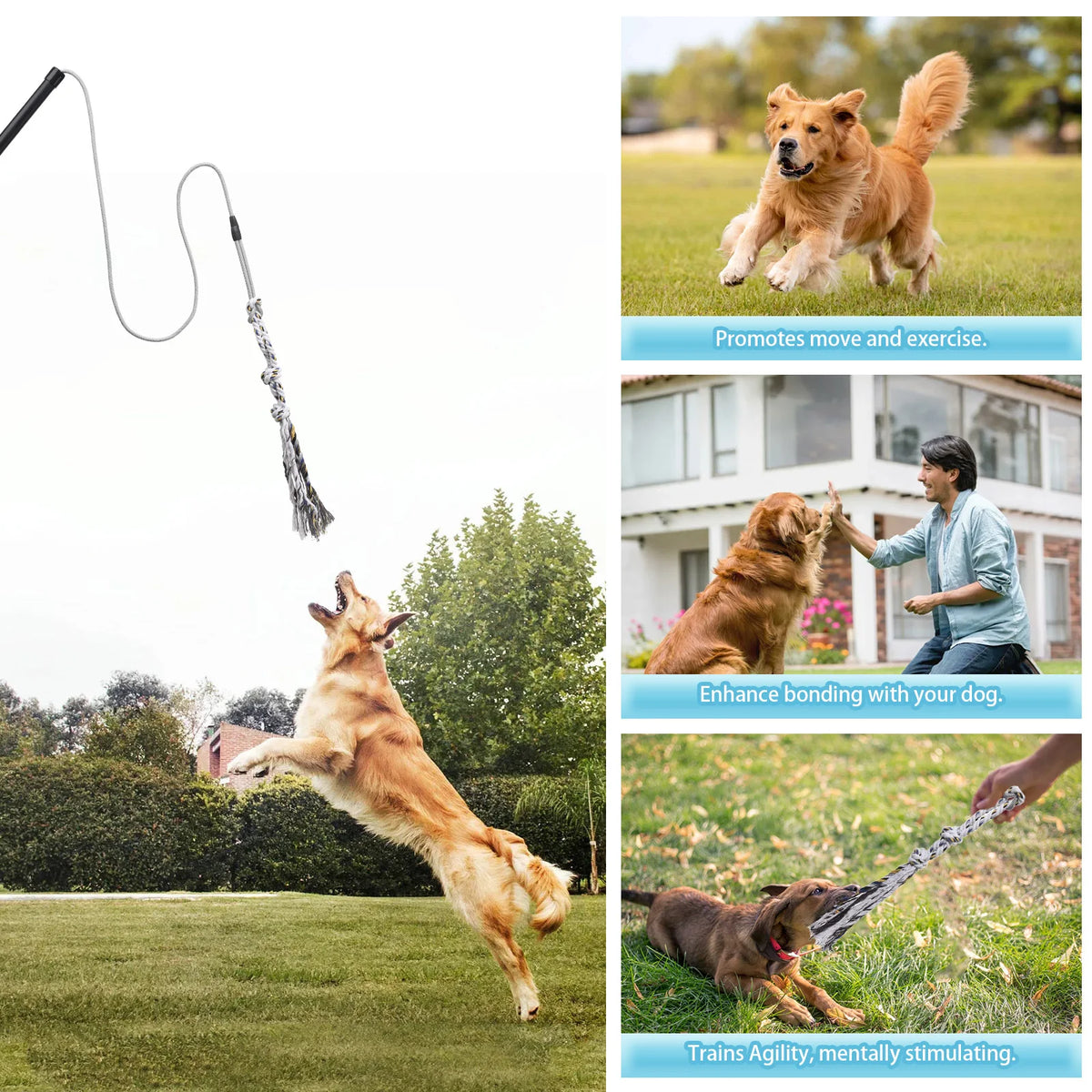 Petssify Flirt Pole — Durable Interactive Dog Exercise Toy for Small & Medium Dogs