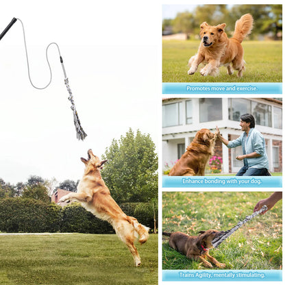 Petssify Flirt Pole — Durable Interactive Dog Exercise Toy for Small & Medium Dogs