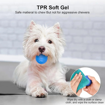 Auto-Rolling Electric Pet Ball | USB Charging | Interactive Toy for Cats & Dogs | Indoor Play