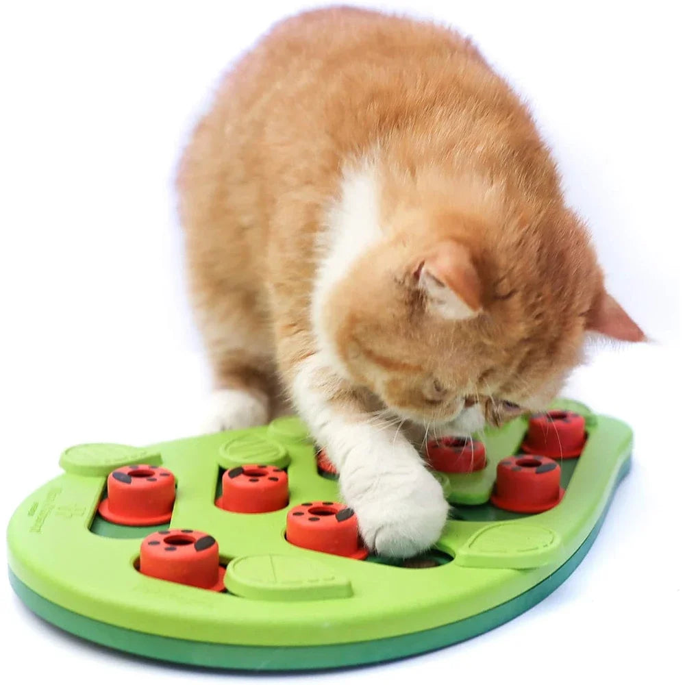 Petssify Interactive Cat Treat Puzzle – 14-Compartment Slow Feeder Board