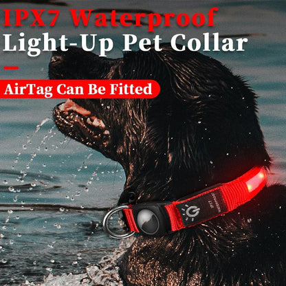 Petssify LED Collar with AirTag Holder – Waterproof Luminous Pet Collar