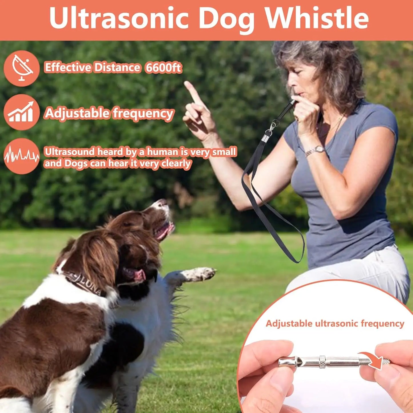 Petssify Complete Dog Training Kit – Pouch, Clickers, Whistle & Bags