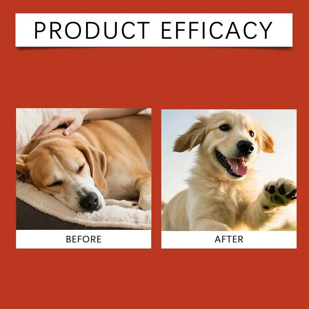 Petssify Dog Probiotic Soft Granules – Gut Health & Digestive Support Supplement
