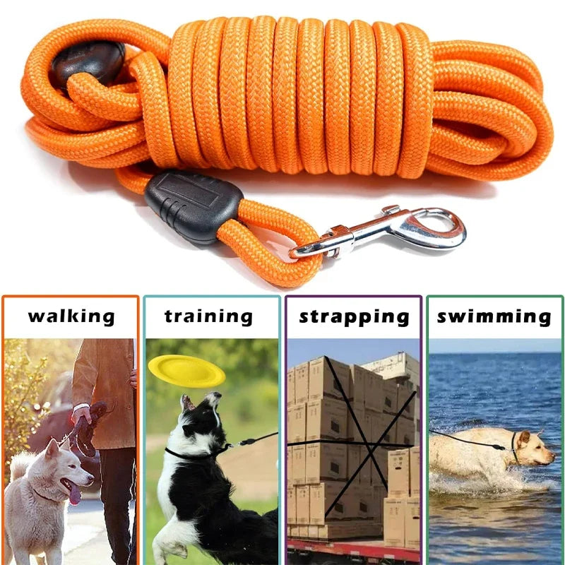 Petssify Heavy Duty Nylon Dog Leash – 5M/10M/15M Training Lead