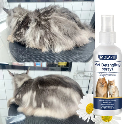 Petssify Pet Detangling Spray – Leave-In Conditioner for Dogs & Cats