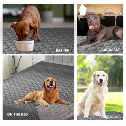 Petssify Double-Sided Waterproof Furniture Protector – Reversible Pet Blanket for Sofa & Couch