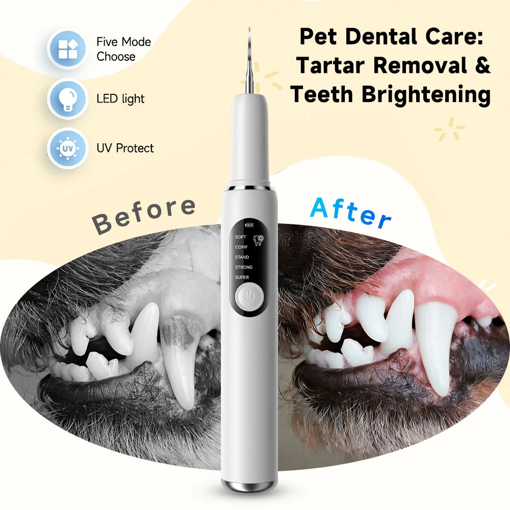 Petssify Ultrasonic Dental Scaler – 5 Modes Plaque & Tartar Remover for Dogs & Cats