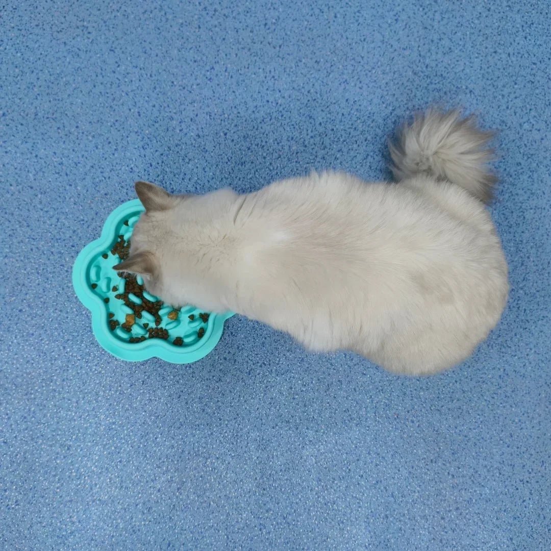 Petssify Edible Silicone Slow Feeder Bowl – Anti-Knock Pet Food Mat