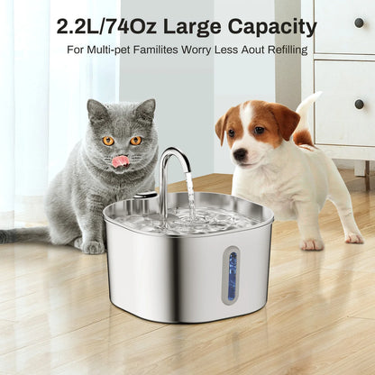Petssify 2.2L Stainless Steel Cat Fountain – Silent Pump & Visual Window