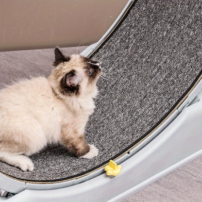 Cat Running Exercise Wheel Treadmill, Ultra-Quiet Safety Cat Training Toy with and Locking Mechanism,Removable Carpeted Runway