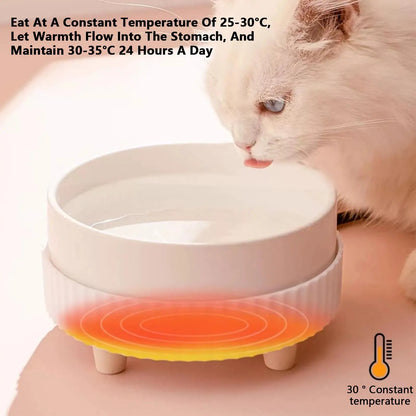 Pet Water Dispenser Heated Pet Water Bowl Thermal Pet USB Dog Dispenser Bowl Heated Rechargeable Cat Food Drinking Supplies