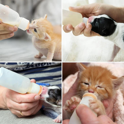 Petssify Newborn Pet Nursing Bottle Kit – 55ml with Silicone Nipples