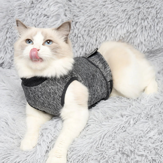 Petssify Cat Anxiety Jacket – Calming Thunder Vest for Stress & Emotional Comfort