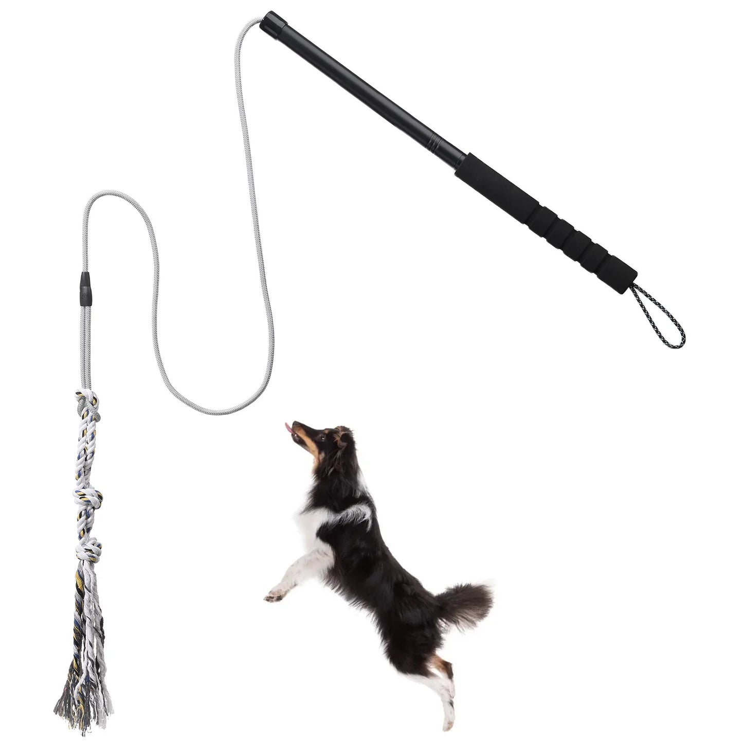 Petssify Flirt Pole — Durable Interactive Dog Exercise Toy for Small & Medium Dogs