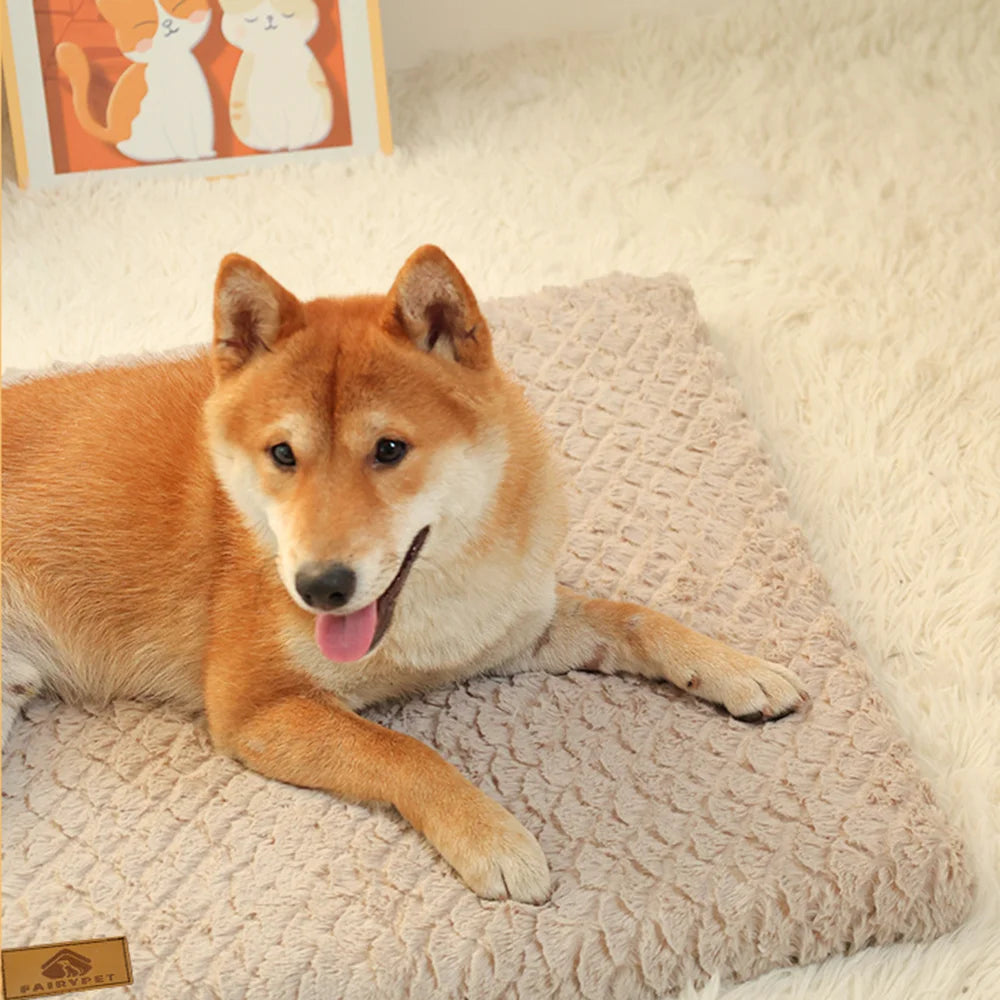Petssify 3D Foam Orthopedic Pet Bed – Waterproof Washable Crate Mat for Dogs & Cats