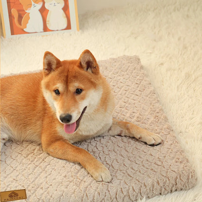 Petssify 3D Foam Orthopedic Pet Bed – Waterproof Washable Crate Mat for Dogs & Cats