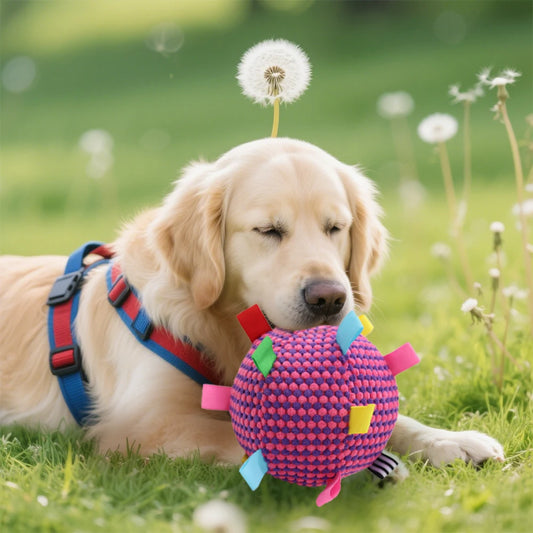 Interactive Dog Chew Ball Toy | Stress Relief | Bite-Resistant | Plush Tug-of-War | 3 Colors