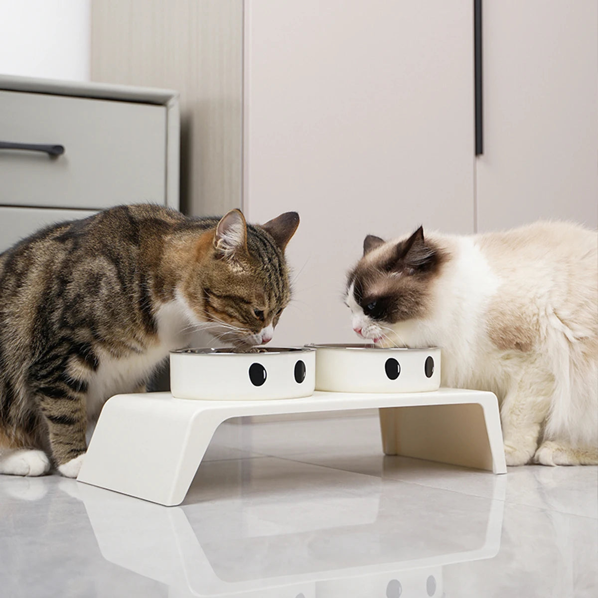 Petssify Elevated Pet Feeder – Raised Double Stainless Steel Bowl Stand for Dogs & Cats