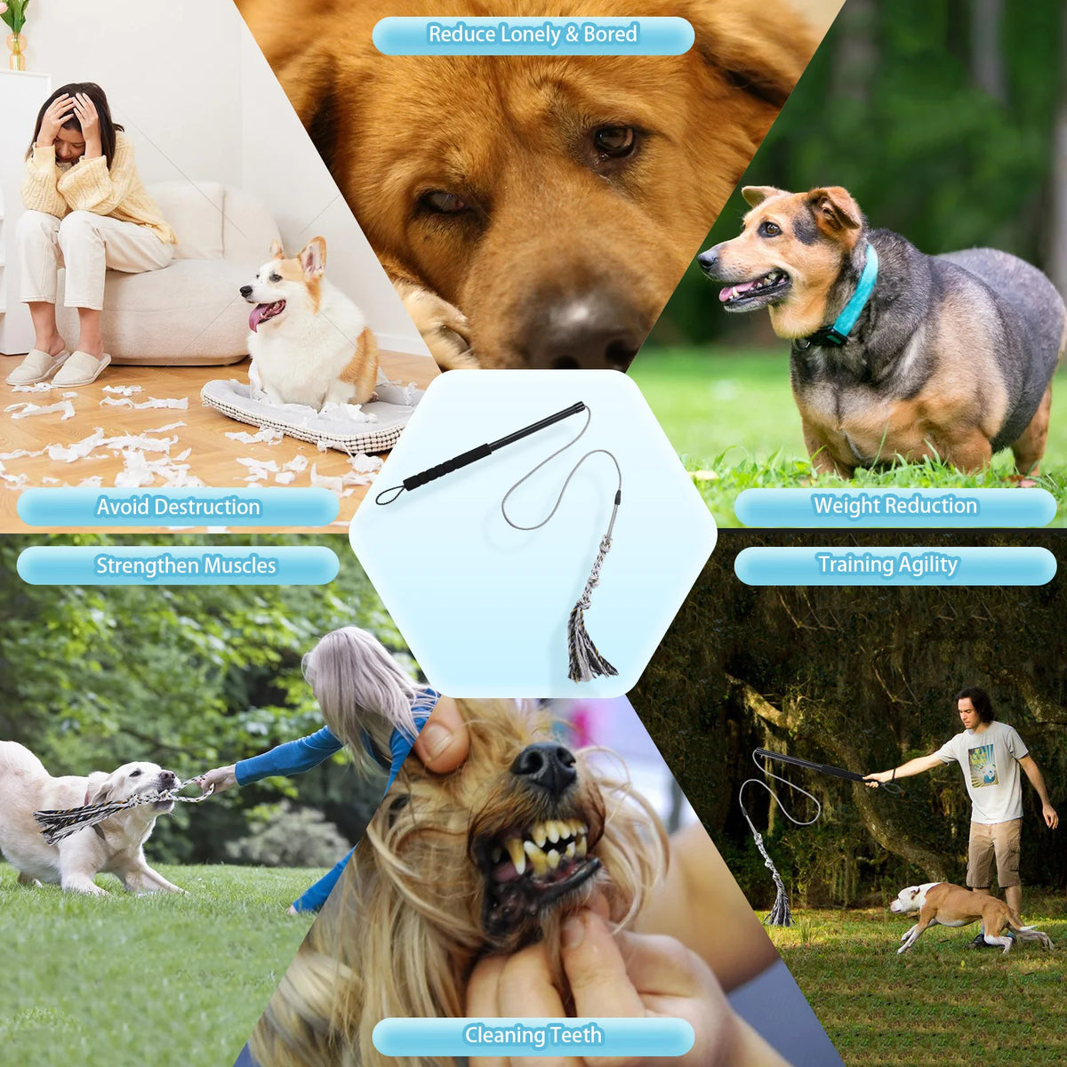 Petssify Flirt Pole — Durable Interactive Dog Exercise Toy for Small & Medium Dogs