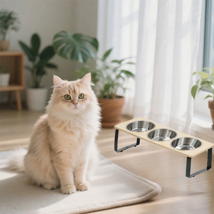 Petssify Tilted Elevated Cat Bowls – 15° Anti-Vomiting Stand with 3 Bowls