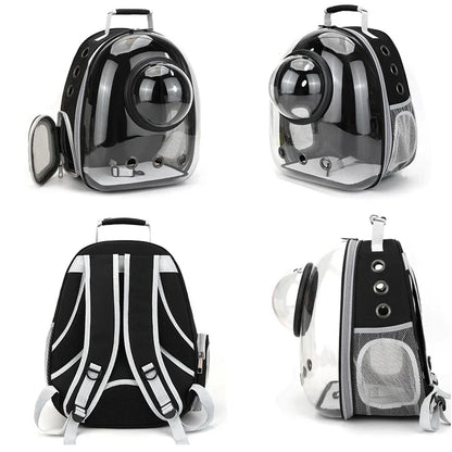 Petssify Transparent Bubble Cat Carrier Backpack – Breathable Travel Capsule