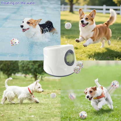 Automatic Pet Ball Throwing Machine | Compact Size | Carries 3 Balls | Outdoor Dog Thrower