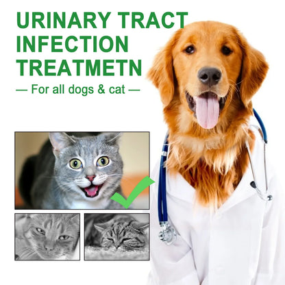 Petssify Cranberry Bladder Health Drops – Urinary Tract Support for Dogs & Cats