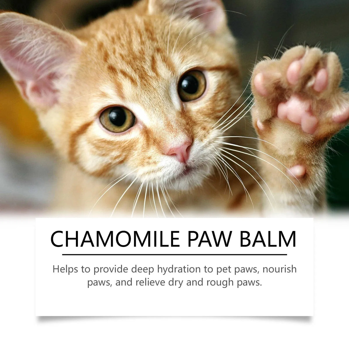 Petssify Natural Dog Paw Balm – Paw Protector & Nose Moisturizer for Dogs