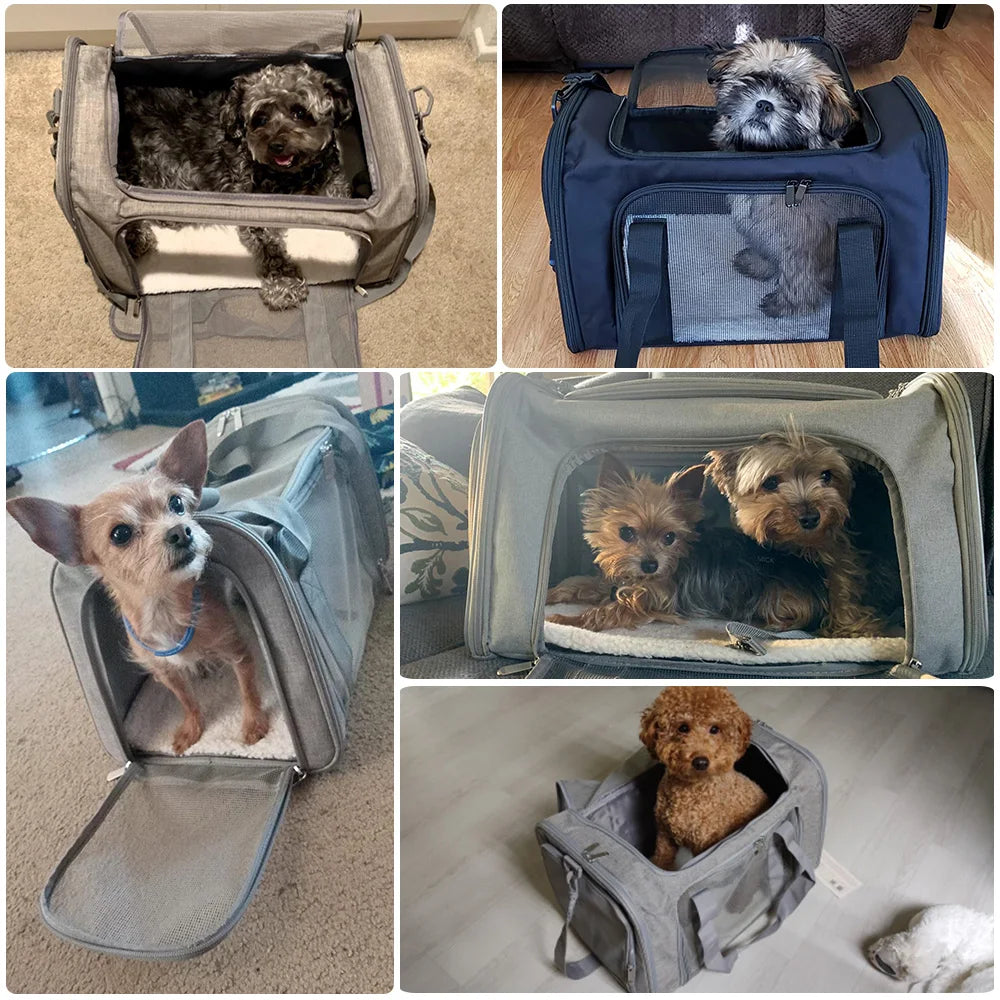 Petssify Airline-Approved Pet Carrier Backpack – Soft-Sided Travel Bag for Small Dogs & Cats