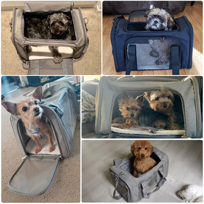 Petssify Airline-Approved Pet Carrier Backpack – Soft-Sided Travel Bag for Small Dogs & Cats