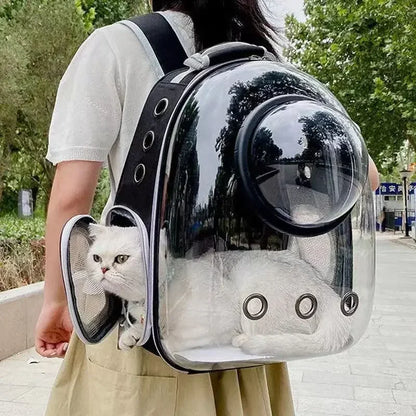 Petssify Transparent Bubble Cat Carrier Backpack – Breathable Travel Capsule